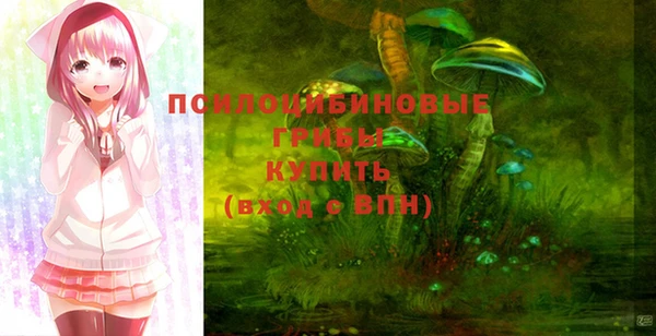 PSILOCYBIN Алексин